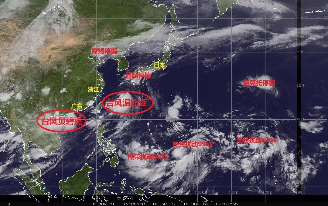 捅了＂臺風窩＂?江浙滬貨主貨代們這幾周天天和客戶解釋船期延誤，糾結什么時候進港！