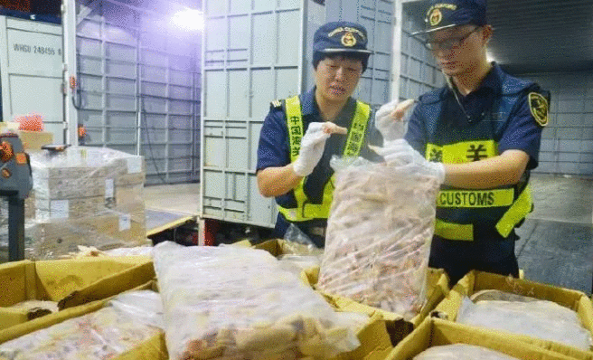 重磅出擊！海關(guān)嚴(yán)打謊報瞞報！貨物銷毀；重磅罰金、還是不能懸崖勒馬，貨代該如何規(guī)避？