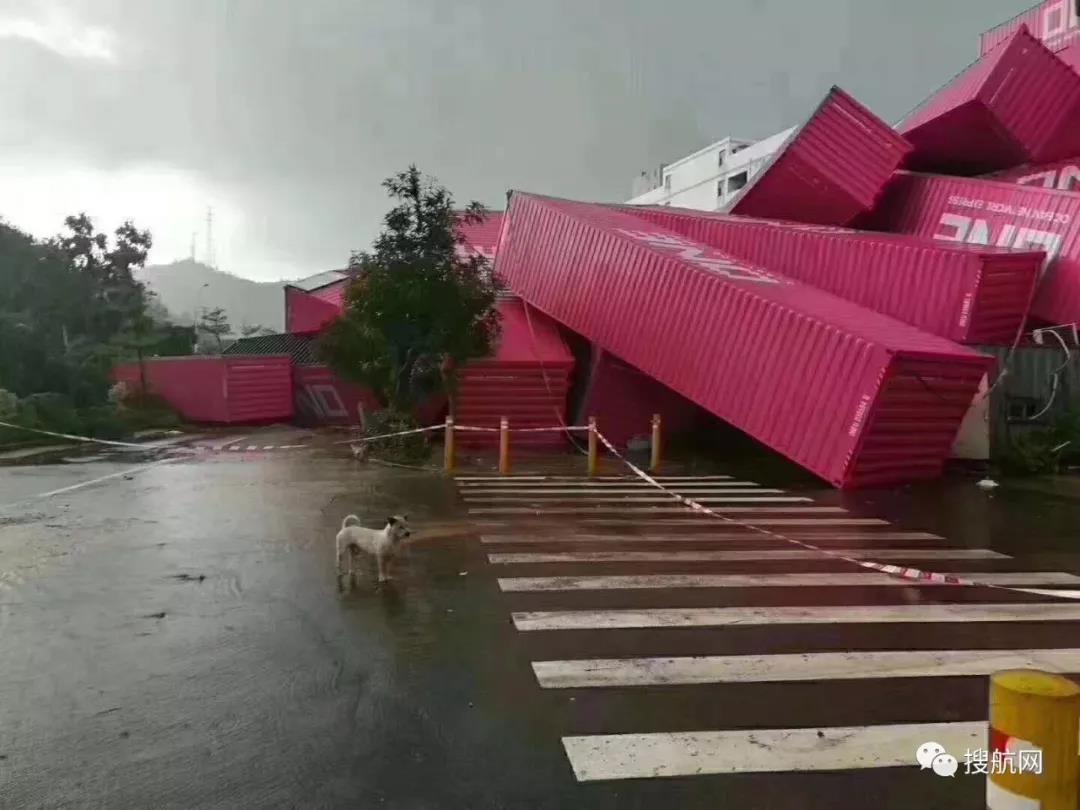 預警丨臺風“丹娜絲”周末來襲，深圳廣州廈門寧波上海港或隨時停止作業(yè)，外貿貨代企業(yè)抓緊出貨！